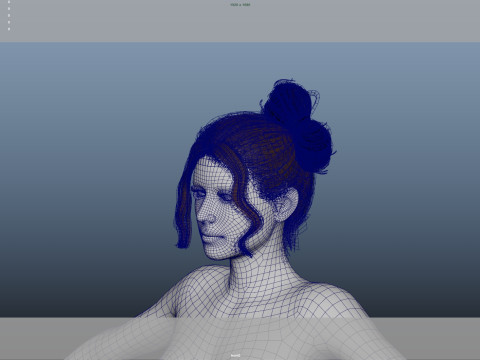 Female Hair 3D Model