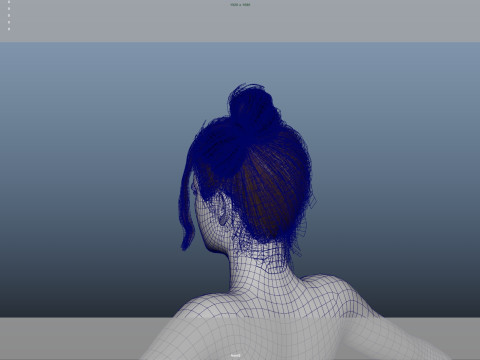 Female Hair 3D Model