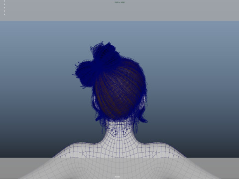 Female Hair 3D Model