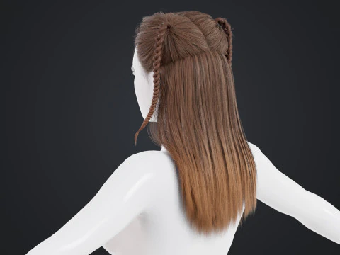 Cheveux f&eacute;minins Modèle 3D