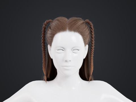 Female Hair Modelo 3D