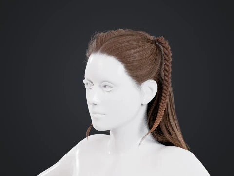 Female Hair 3D Model