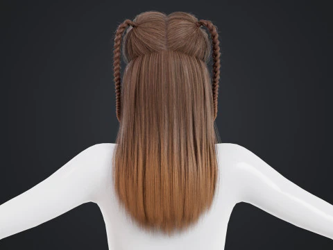 Female Hair 3D Model