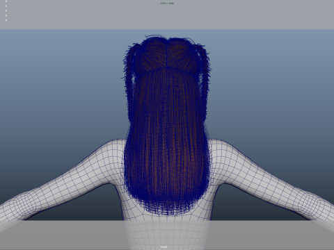 Female Hair Modelo 3D