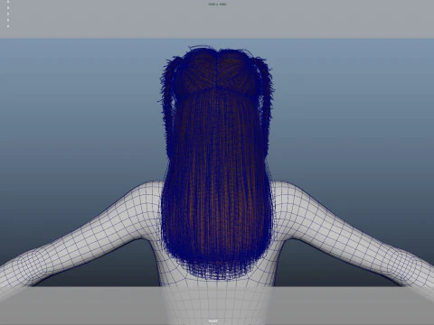 Female Hair 3D Model