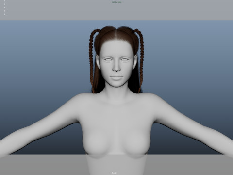 Female Hair Modelo 3D