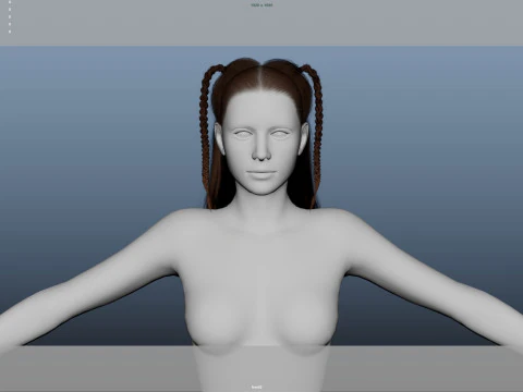 Female Hair 3D Model