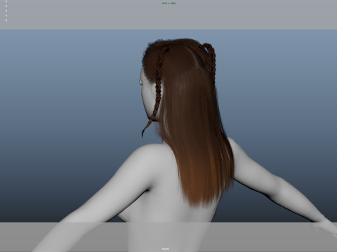 Female Hair Modelo 3D