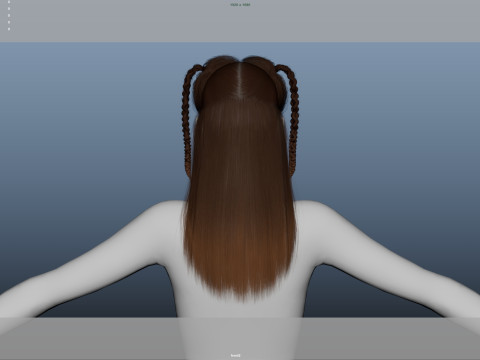 Female Hair Modelo 3D