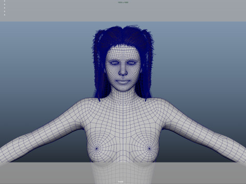 Female Hair Modelo 3D