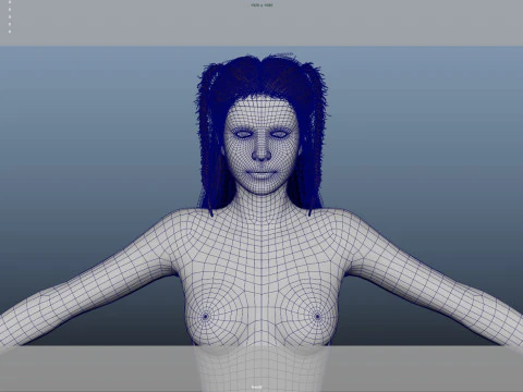 Female Hair 3D Model