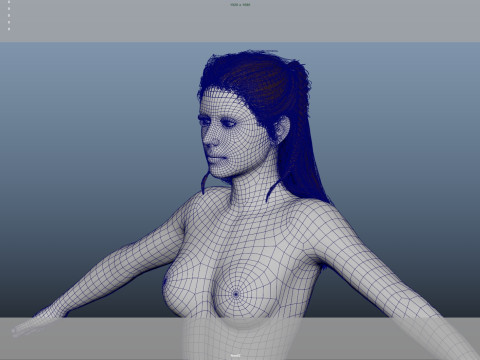 Female Hair Modelo 3D