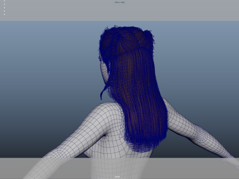 Female Hair Modelo 3D