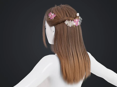 Cheveux f&eacute;minins Modèle 3D