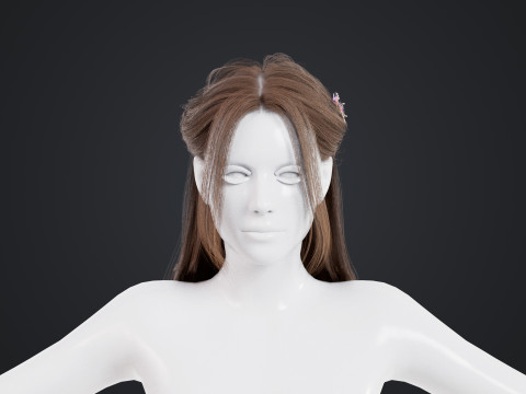 Female Hair 3D मॉडल