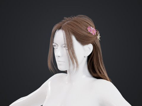 Female Hair 3D मॉडल