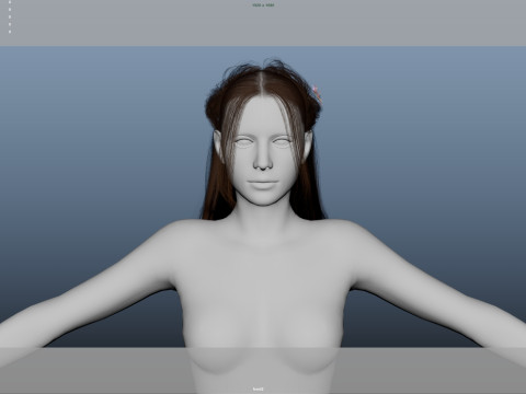 Female Hair 3D मॉडल
