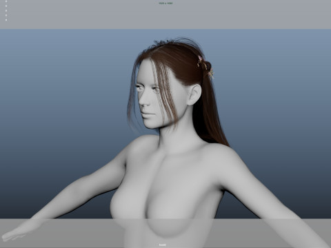 Female Hair 3D मॉडल