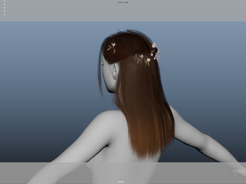 Female Hair 3D मॉडल