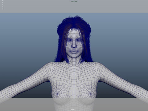 Female Hair 3D मॉडल