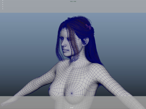 Female Hair 3D मॉडल