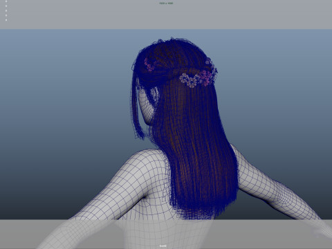 Female Hair 3D मॉडल