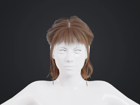 Female Hair 3D Model