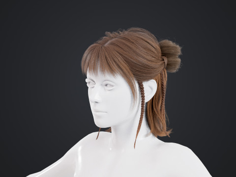 Female Hair Modelo 3D
