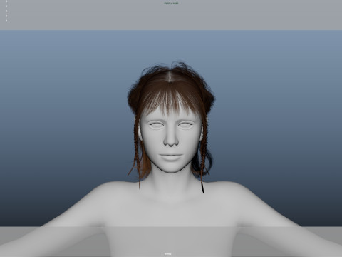 Female Hair Modelo 3D