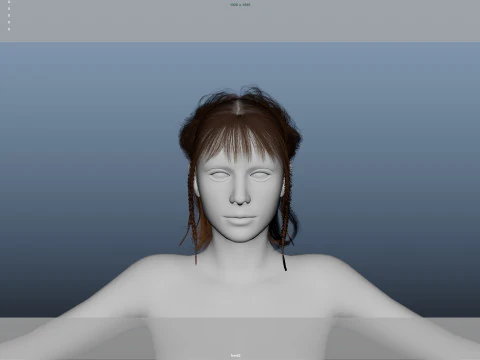 Female Hair 3D Model