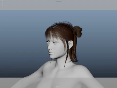 Female Hair 3D Model