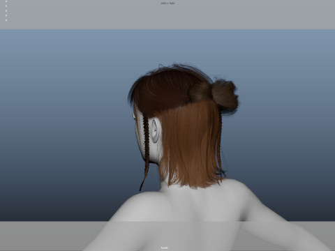 Female Hair Modelo 3D