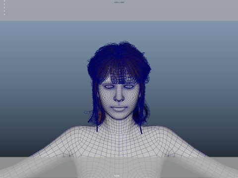 Female Hair Modelo 3D