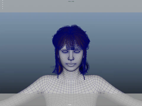 Female Hair 3D Model
