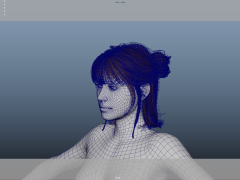 Female Hair Modelo 3D