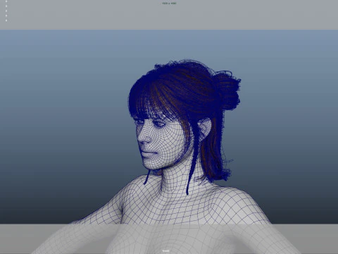 Female Hair 3D Model