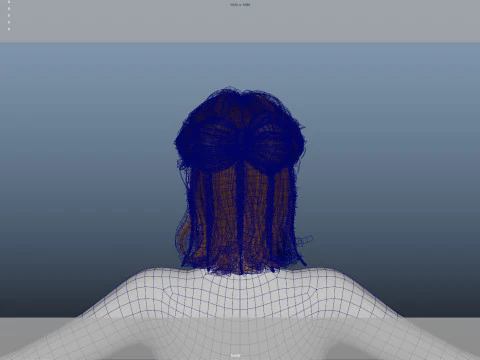 Female Hair 3D Model