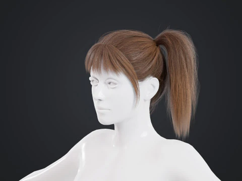 Female Hair 3D Model
