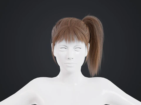Female Hair 3D Model