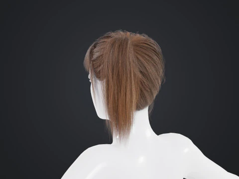 Female Hair 3D Model