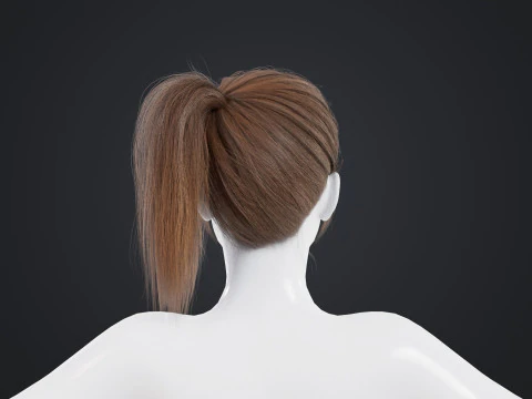 Female Hair 3D Model