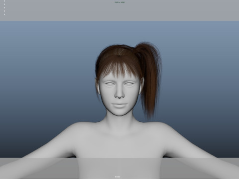 Female Hair 3D Модель