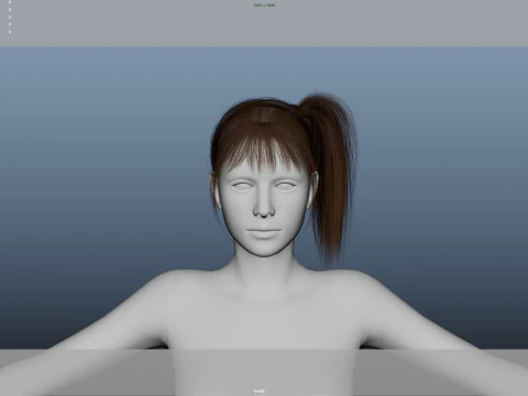 Female Hair 3D Model