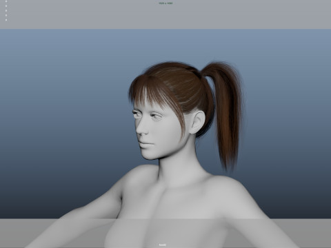 Female Hair 3D Модель