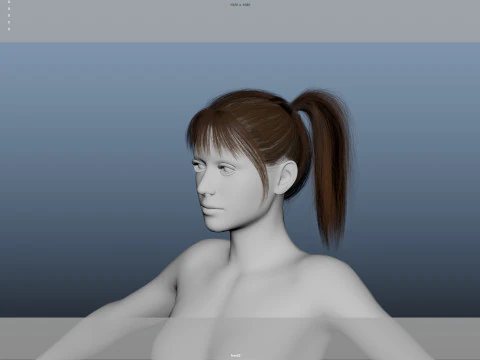 Female Hair 3D Model