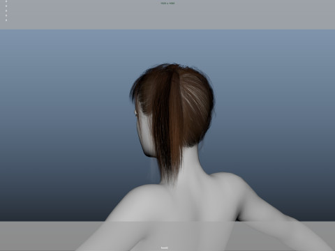 Female Hair 3D Модель