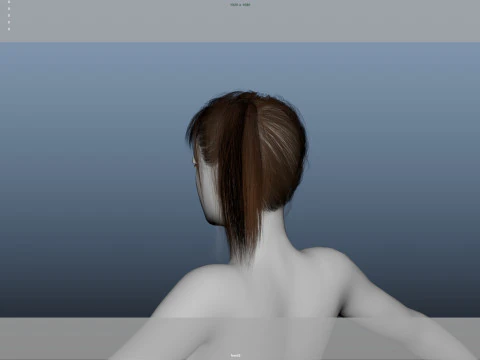 Female Hair 3D Model