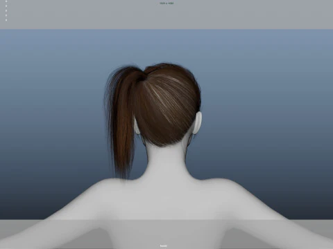 Female Hair 3D Model
