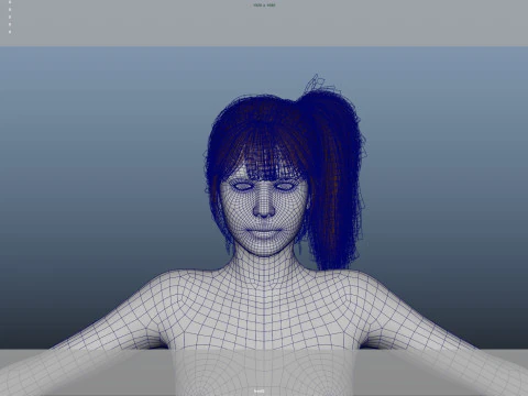 Female Hair 3D Model
