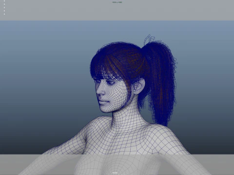 Female Hair 3D Model